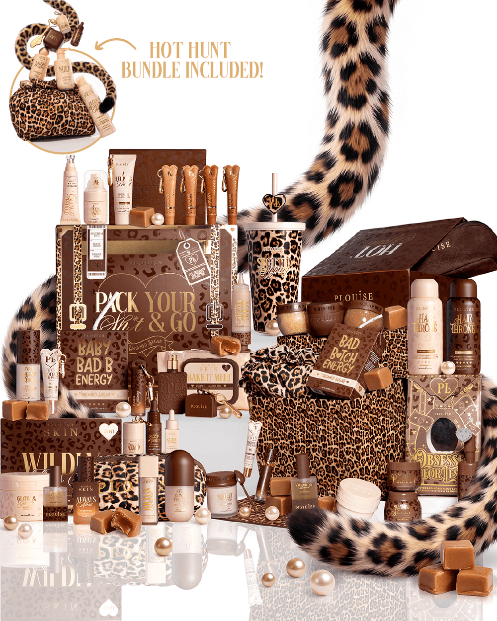 Die Hot Spot Cheetah PR-Box (Kopie)