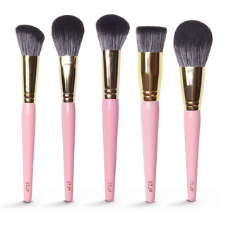 P.Louise 20pc Aladdin Brush Set