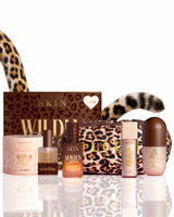 Die Hot Spot Cheetah PR-Box (Kopie)