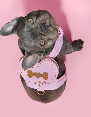 P.Louise Hundekabelbaum -Rucksack