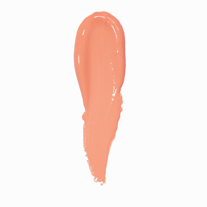 Ballettschuh